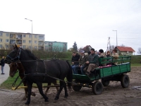 Mazurska_pogo__za_lisem_1
